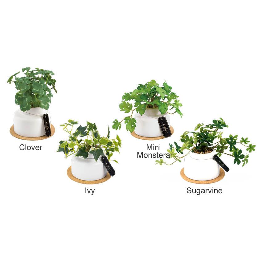 キシマ（KISHIMA） CT触媒 フェイクグリーン 陶器鉢(M) コルク