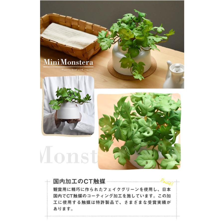 キシマ（KISHIMA） CT触媒 フェイクグリーン 陶器鉢(M) コルク