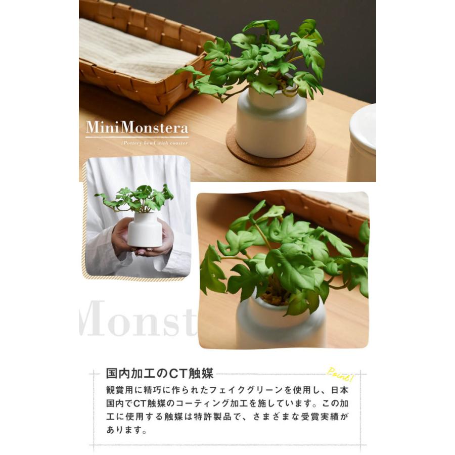 キシマ（KISHIMA） CT触媒 フェイクグリーン 陶器鉢(S) コルク