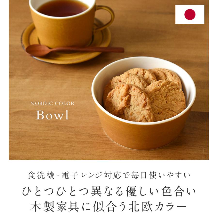 北欧カラー ボウル 単品 深皿 美濃焼 電子レンジ対応 食洗機対応 日本