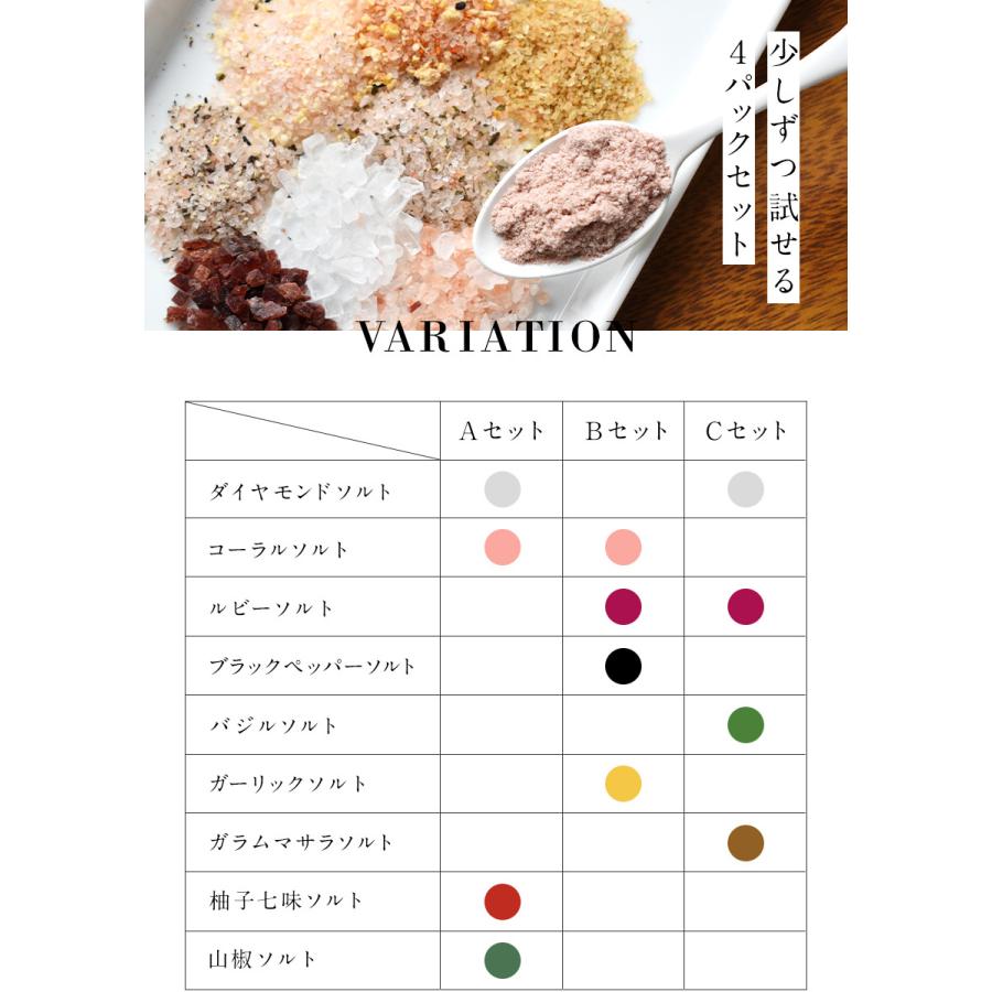 ヒマラヤ岩塩 スパイスソルト ミニパック4種類セット 20g×4パック お
