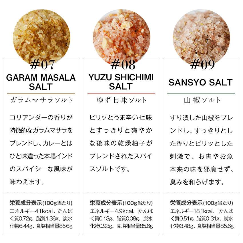 ヒマラヤ岩塩 スパイスソルト ミニパック4種類セット 20g×4パック お