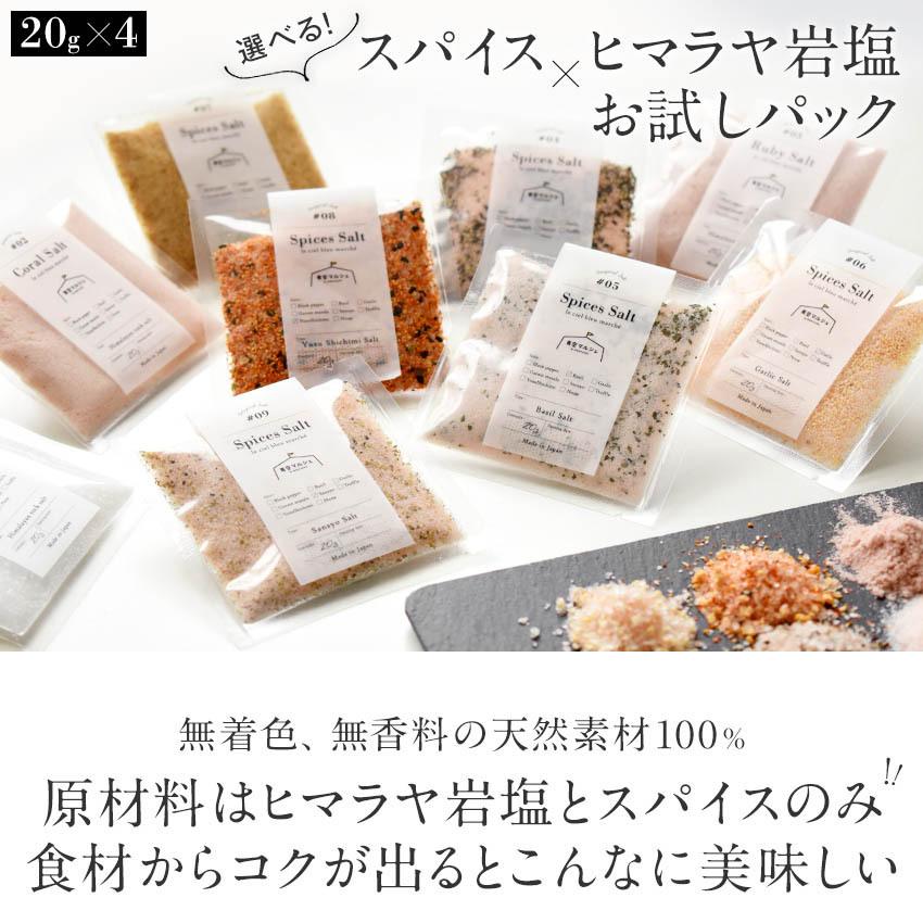 ヒマラヤ岩塩 スパイスソルト ミニパック4種類セット 20g×4パック お