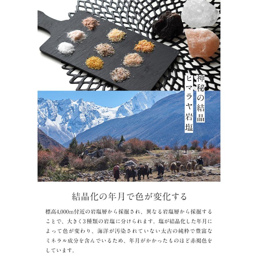 ヒマラヤ岩塩 スパイスソルト ミニパック4種類セット 20g×4パック お
