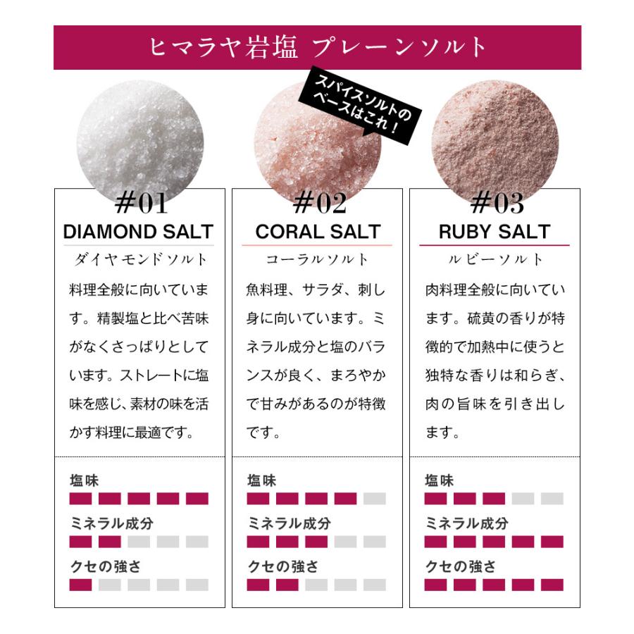 ヒマラヤ岩塩 スパイスソルト ミニパック4種類セット 20g×4パック お