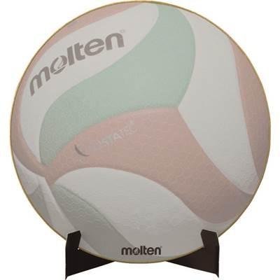 molten(モルテン) バレーボール ボール型サイン色紙 フリスタテック XA0110-V｜montaukonline