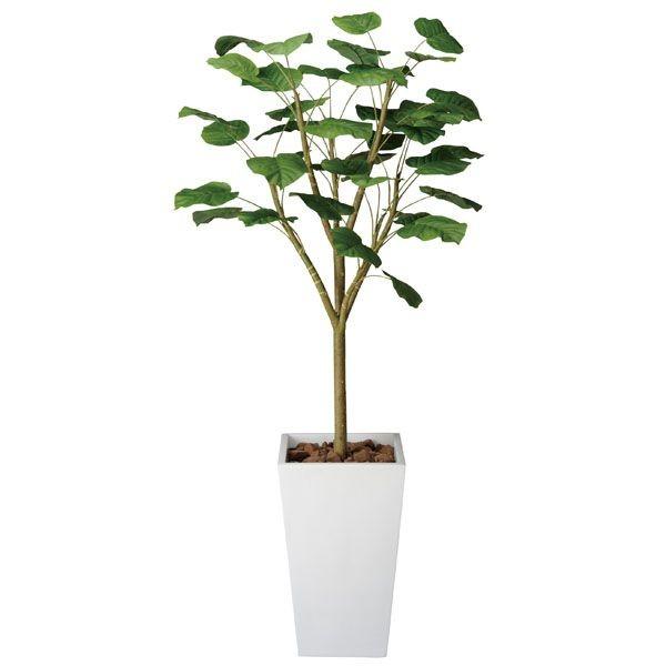 特売新入荷特価 光触媒 観葉植物 人工観葉植物 光の楽園 ウンベラータダブル1 8m 買収 Murad Com Jo