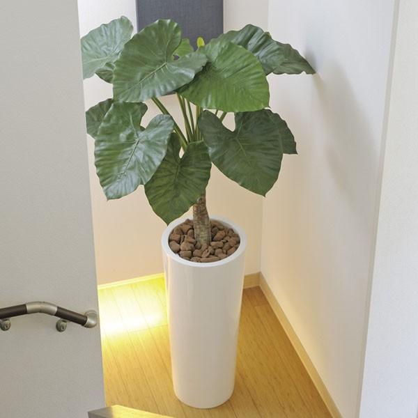 光触媒 観葉植物 人工観葉植物 光の楽園 人工観葉 フェイクグリーン 観葉植物 光触媒観葉植物 人工観葉植物 インテリアグリーン 人工樹木 人工植物 光の楽園 アートくわず芋 くわず芋 134c800 光触媒 アートくわず芋 1 8m インテリア フェイク グリーン 134c800 光