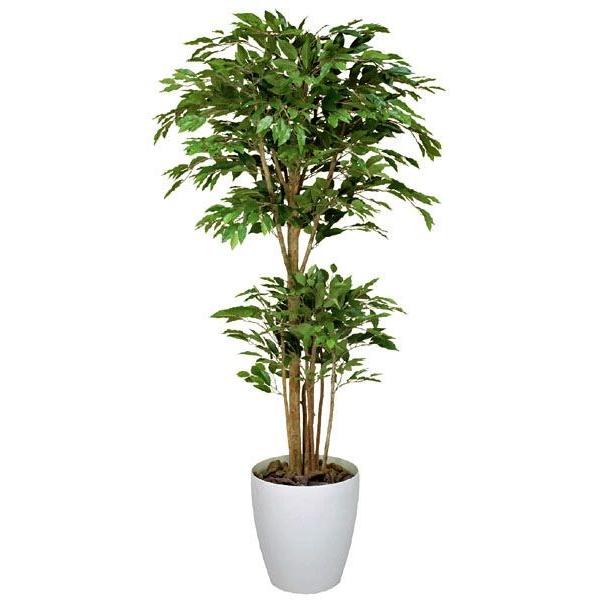 フェイクグリーン 光触媒 人工観葉植物 大型　トロピカルベンジャミン1.6m 【インテリアグリーン】