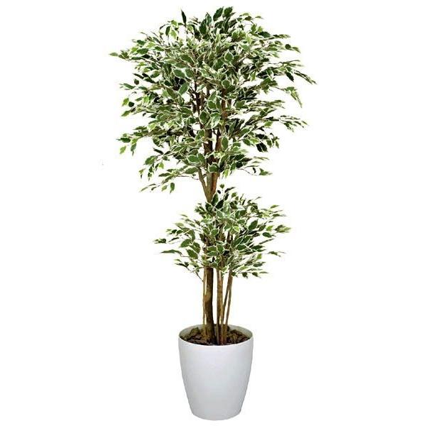 フェイクグリーン 光触媒 人工観葉植物 大型　トロピカルベンジャミン斑入り1.6m 【インテリアグリーン】