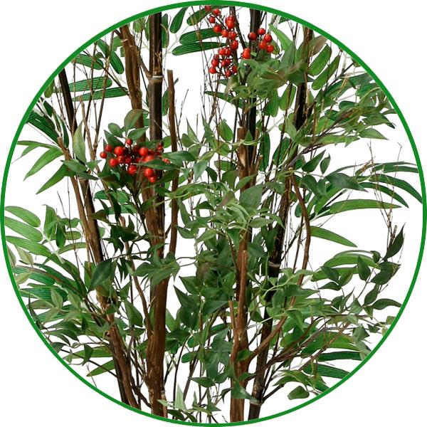 和風 人工観葉植物 大型 フェイクグリーン 光触媒 観葉植物 黒竹 和風 人工観葉植物 大型 フェイクグリーン 光触媒 観葉植物 黒竹
