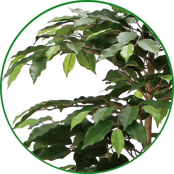 人工観葉植物 大型 フェイクグリーン 光触媒 観葉植物 リアル