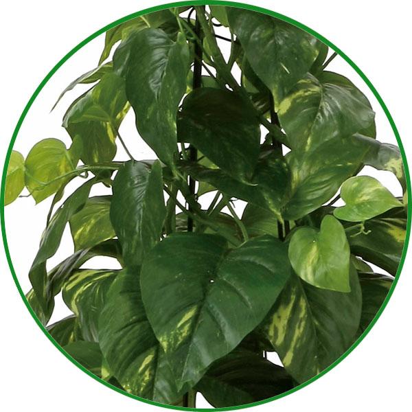 光触媒 観葉植物 フェイクグリーン 人工観葉植物 フレッシュ