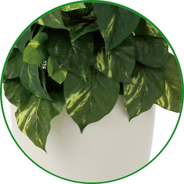 光触媒 観葉植物 フェイクグリーン 人工観葉植物 フレッシュ