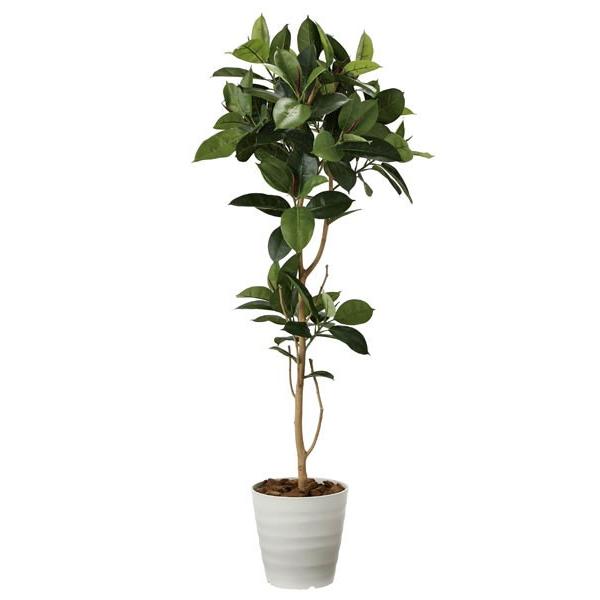 光触媒 観葉植物 フェイクグリーン 人工観葉植物 大型　ゴムの木1.8m インテリア リアル おしゃれ 開店・開院・開業 お祝いにも