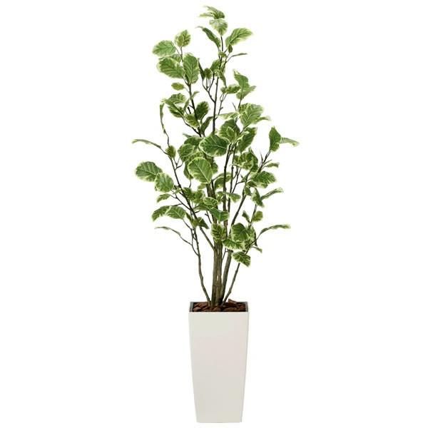 50 Off 光触媒人工観葉植物 光の楽園 ポリシャス 1 3m 新商品 宅送 Tiebreak Fr