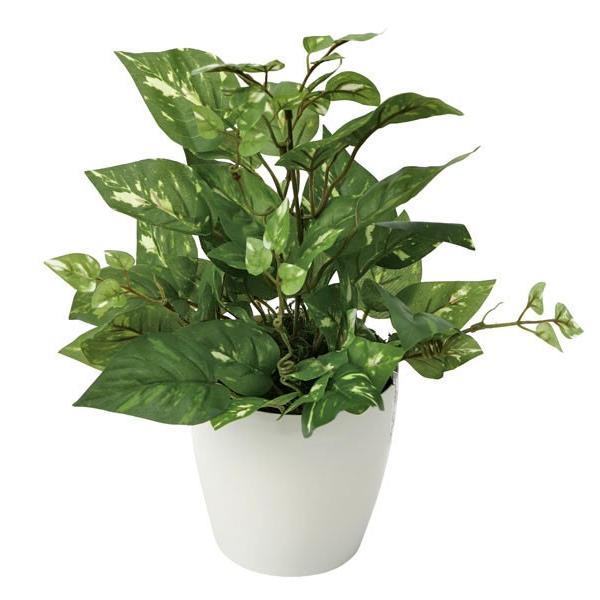 光触媒観葉植物テーブルタイプ 人工植物 ポトス 玄関先迄納品