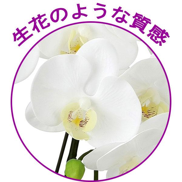 光触媒 胡蝶蘭（造花の胡蝶蘭） 高級 リアル お祝いにも　フレッシュ胡蝶蘭5本立Ｗ