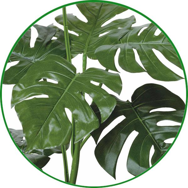 フェイクグリーン 人工観葉植物 光触媒加工 モンステラ1.0m 