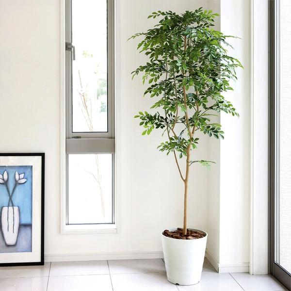 人工観葉植物 大型 フェイクグリーン 光触媒 観葉植物 トネリコ1.8m インテリア 開店・開院・開業 お祝いにも