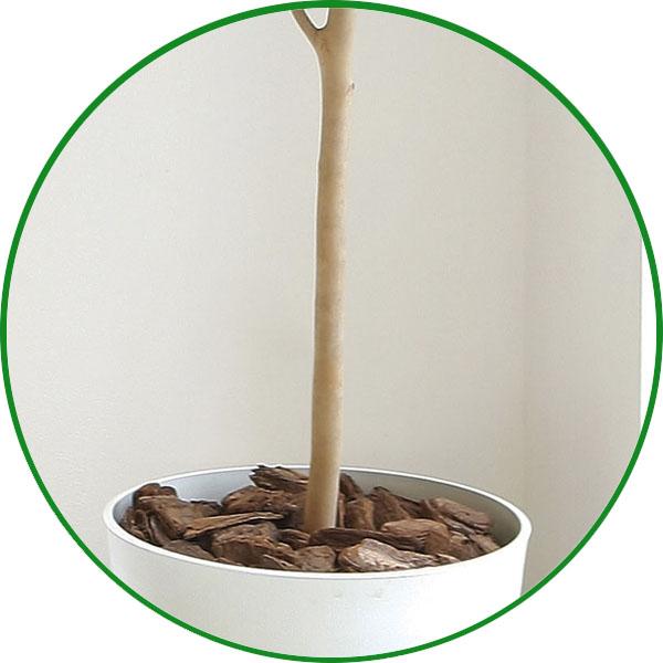 人工観葉植物 大型 フェイクグリーン 光触媒 観葉植物 トネリコ 人工観葉植物 大型 フェイクグリーン 光触媒 観葉植物 トネリコ