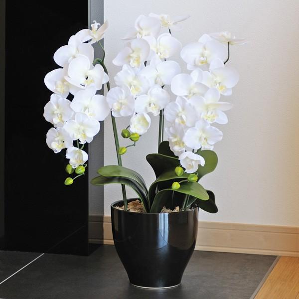 アートフラワー 造花の胡蝶蘭 光触媒加工　光の園　胡蝶蘭セリースＷ あすつく・条件付