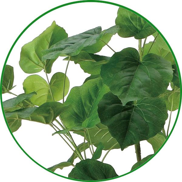 光触媒 人工観葉植物 大型 フィカスウンベラータ 1.7m 【インテリア