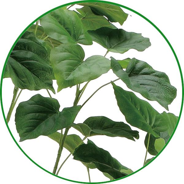 光触媒 人工観葉植物 大型 フィカスウンベラータ 1.7m 【インテリア  