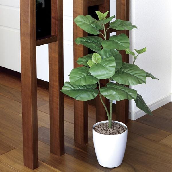 人工観葉植物 フェイクグリーン 光触媒 観葉植物　ウンベラータ 80cm　インテリア リアル おしゃれ の商品画像