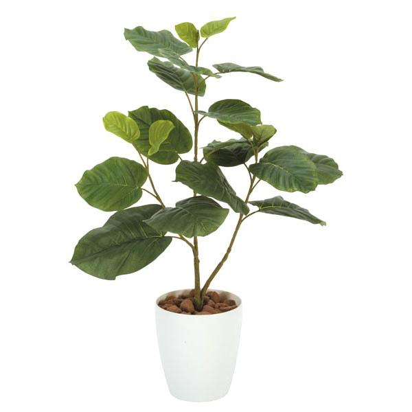 人工観葉植物 フェイクグリーン 光触媒 観葉植物 ウンベラータ 80cm