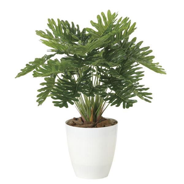 フェイクグリーン 人工観葉植物 光触媒 観葉植物　フレッシュクッカバラＭ インテリア リアル おしゃれ