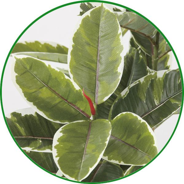 光触媒 人工観葉植物 ウォールグリーン フェイクグリーン アルテシマ