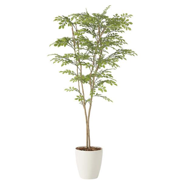 光触媒人工観葉植物、光の楽園 ライトトネリコ1.6m、【インテリア・フェイク グリーン】 日本販売 人工観葉植物 光の楽園 シェフレラ1.8m