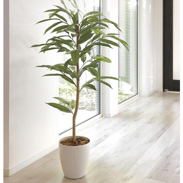 通販質屋 光触媒人工観葉植物 光の楽園 アムステルラバーキング1 2m 新商品 2250a0 49 光の楽園ショップ モントブレッテ 通販 Yahoo ショッピング 公式超特価 Murad Com Jo