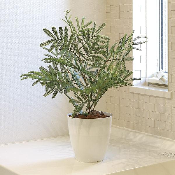 Sale 81 Off 光触媒人工観葉植物 光の楽園 ねむの木 50cm 新商品