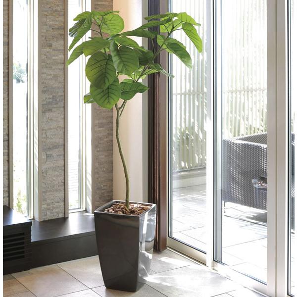 光触媒人工観葉植物フェイクグリーンフレッシュウンベラータ1.0