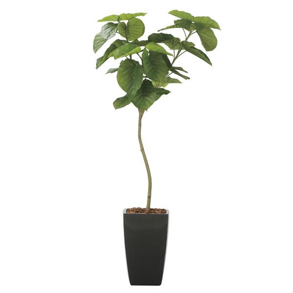光触媒人工観葉植物 アーバンウンベラータ1 8m 新商品 インテリア フェイク グリーン 人工観葉 フェイクグリーン Royaldiamondlabradoodles Com