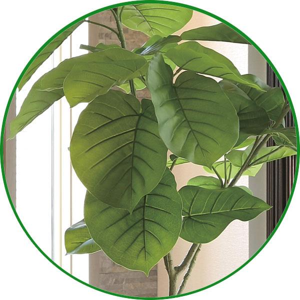 光触媒　人工観葉植物　フェイクグリーン　フレッシュアーバンウンベラータ1.8 人工観葉植物 大型 フェイクグリーン 光触媒 観葉植物 フレッシュ