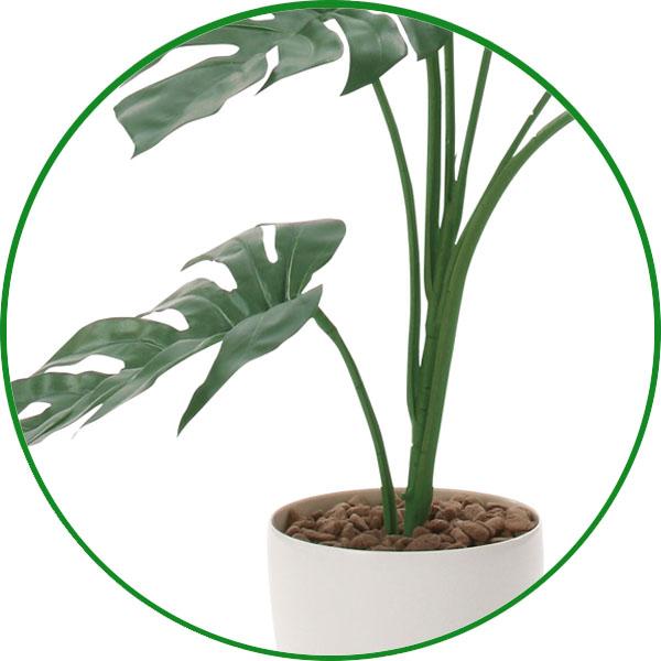 フェイクグリーン 人工観葉植物 光触媒 観葉植物 モンステラ75cm フェイクグリーン 人工観葉植物 光触媒 観葉植物 モンステラ75cm