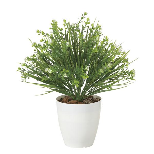 1815円 72 以上節約 光触媒観葉植物テーブルタイプ 人工植物 ミックスグラス 新商品