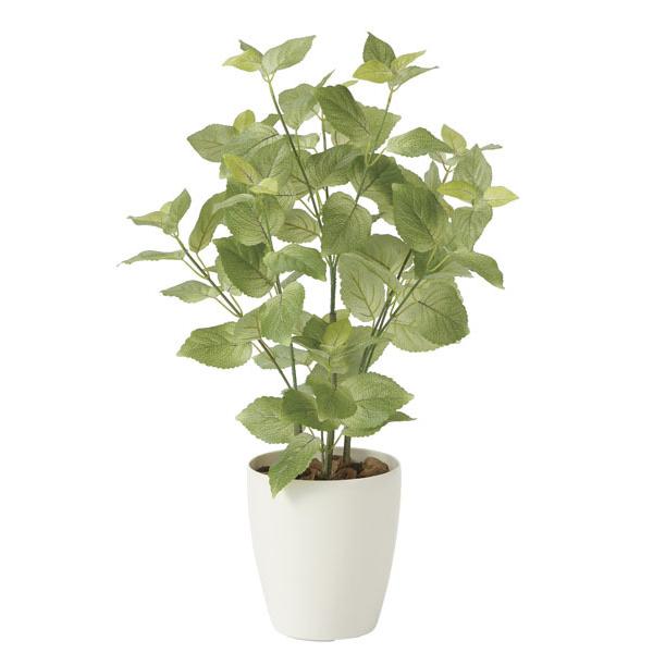 光触媒 人工観葉植物　光の楽園 ペリーラ 70cm