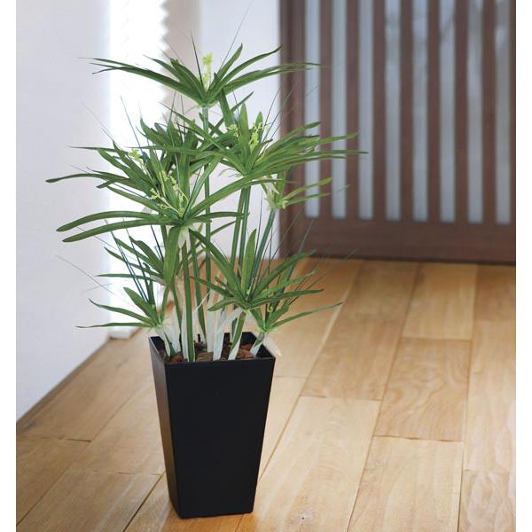 記念日 光触媒人工観葉植物 光の楽園 パピルス 60cm 新商品