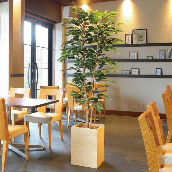 光触媒　人工観葉植物　フェイクグリーン　ウッドボックスベンジャミン1.8m 光触媒 観葉植物 フェイクグリーン 人工観葉植物 大型 インテリア
