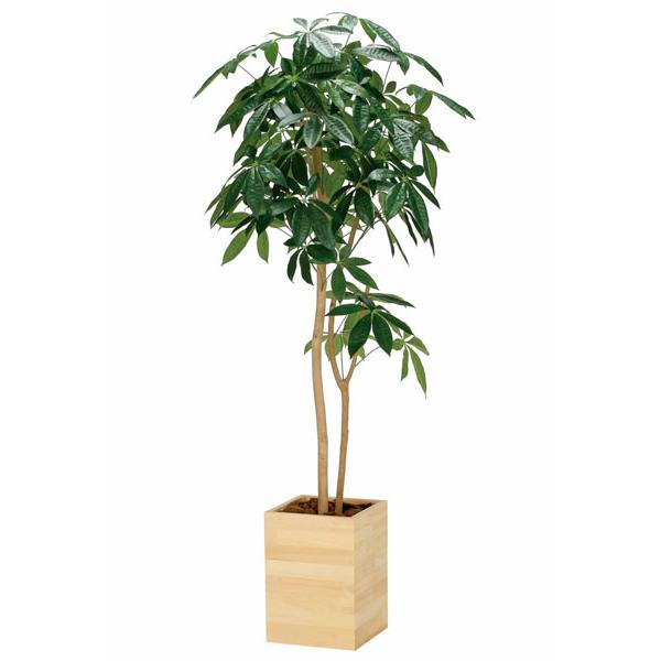 フェイクグリーン 人工観葉植物 大型 光触媒加工 インテリア　ウッドボックスパキラ1.6m_1