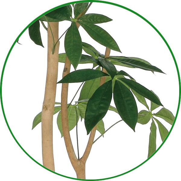 フェイクグリーン 人工観葉植物 大型 光触媒加工 インテリア　ウッドボックスパキラ1.6m_3