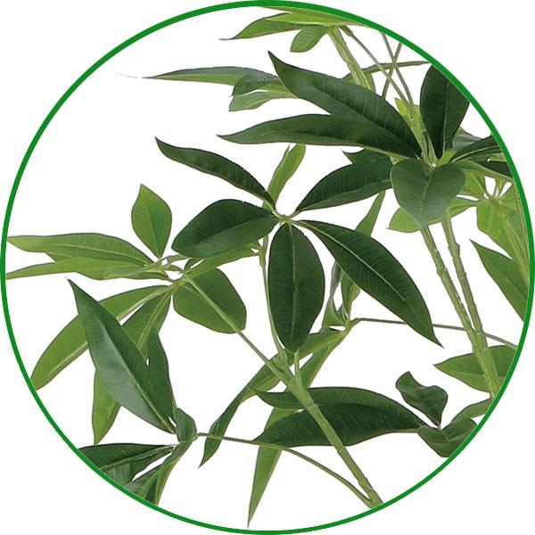 人工観葉植物 大型 フェイクグリーン 光触媒 観葉植物　フレッシュパキラ 1.6m インテリア リアル おしゃれ 開店・開院・開業 お祝いにも_2