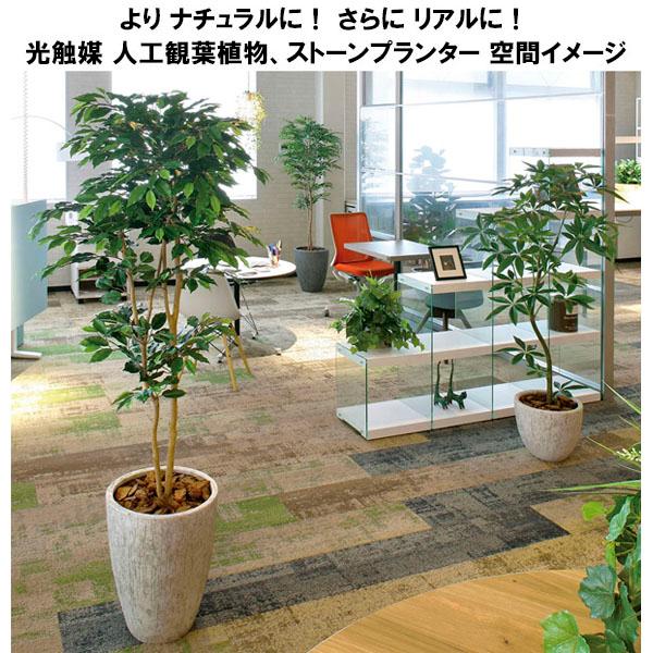 光触媒人工観葉植物フェイクグリーンナチュラルパキラ 1.8m