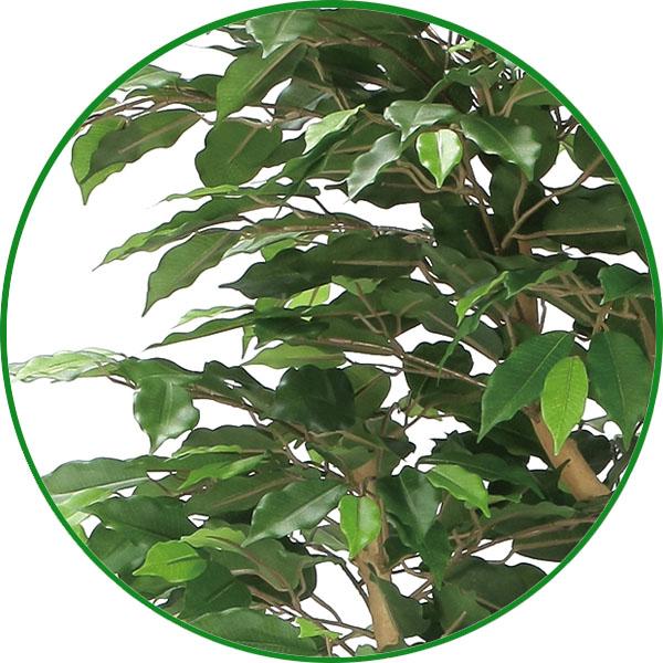 フェイクグリーン 人工観葉植物 大型 光触媒 観葉植物　ナチュラルベンジャミン 1.6m 鉢：ストーンプランター リアル おしゃれ 開店・開院・開業 お祝いにも_1