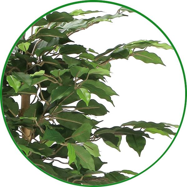 フェイクグリーン 人工観葉植物 大型 光触媒 観葉植物　ナチュラルベンジャミン 1.6m 鉢：ストーンプランター リアル おしゃれ 開店・開院・開業 お祝いにも_2
