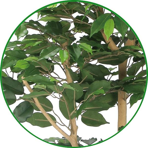 フェイクグリーン 人工観葉植物 大型 光触媒 観葉植物　ナチュラルベンジャミン 1.6m 鉢：ストーンプランター リアル おしゃれ 開店・開院・開業 お祝いにも_3